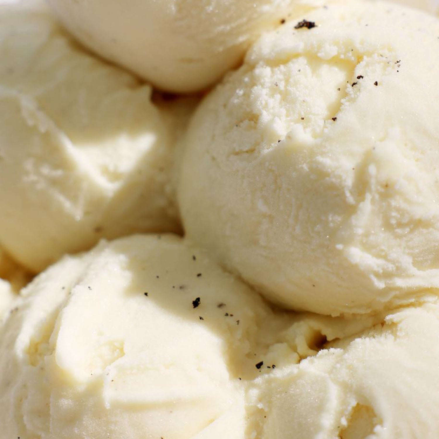 Madagascan Vanilla